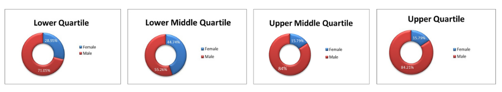 Gender Pay Gap stats